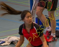 1BULLMINTON - 0297